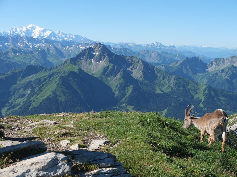 Les Cornettes de Bise