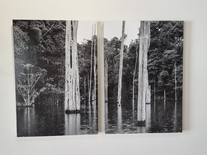 Exposition temporaire Le Sens de la Pente