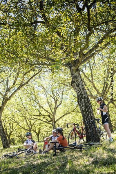 La Drômoise des familles