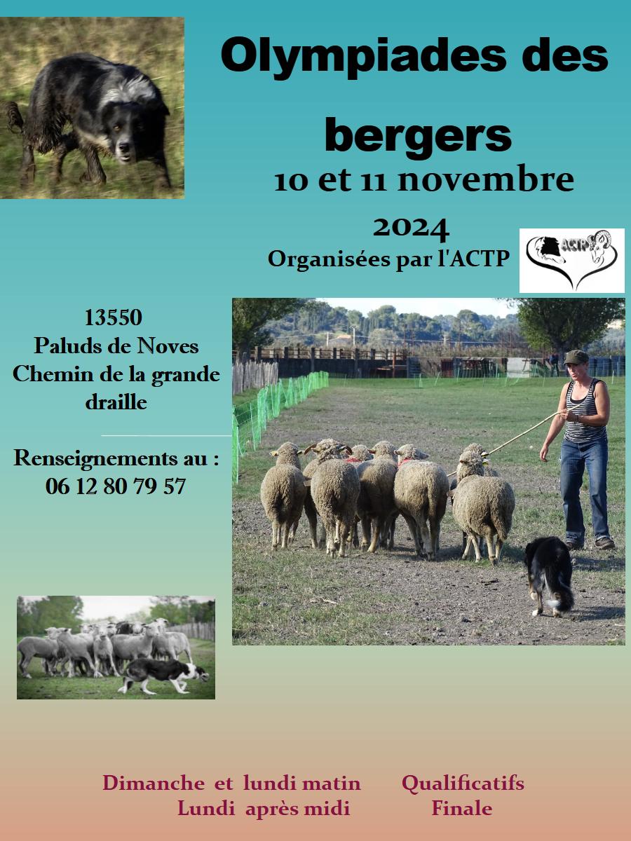 Olympiades des bergers