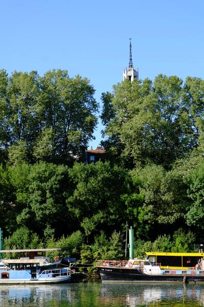 Bords de Marne à Maisons-Alfort 