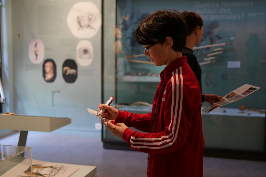 Visite œil de Bonelli le 1er février