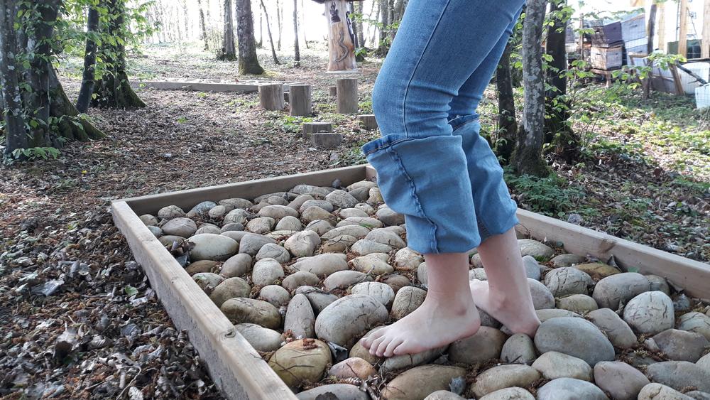 Écomusée Maison de Pays en Bresse