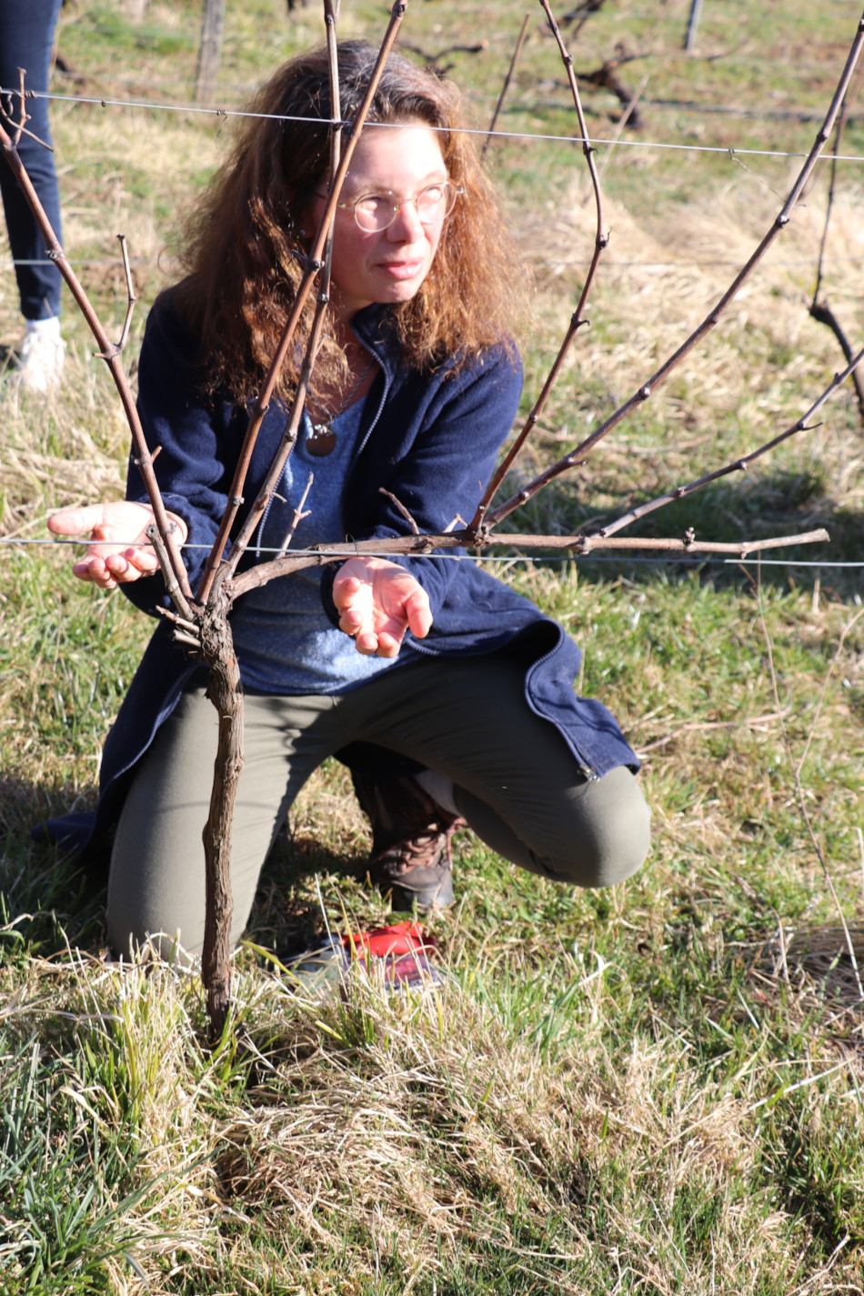 Visite et dégustation autour de la taille de la vigne_Bohas-Meyriat-Rignat