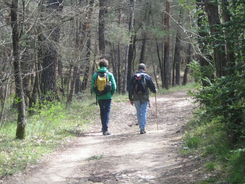 Huguenots et vitrouillères