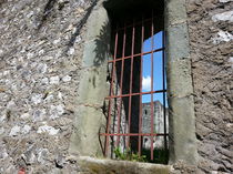 Château Thomas II fenêtre