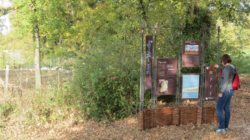 Sentier d'interprétation du Sougey