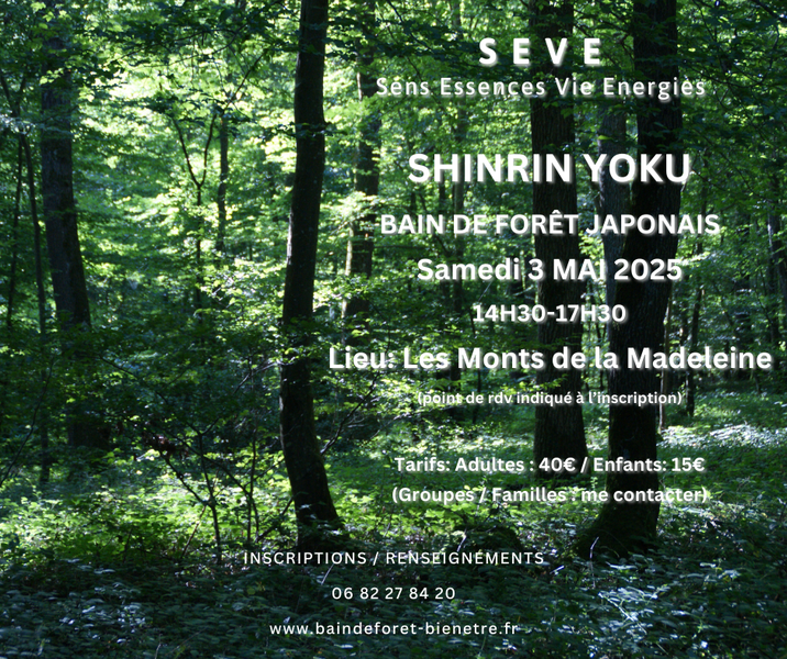 SEVE Sens Essences Vies Energies Un Bain d'une Nouvelle Nature_Renaison
