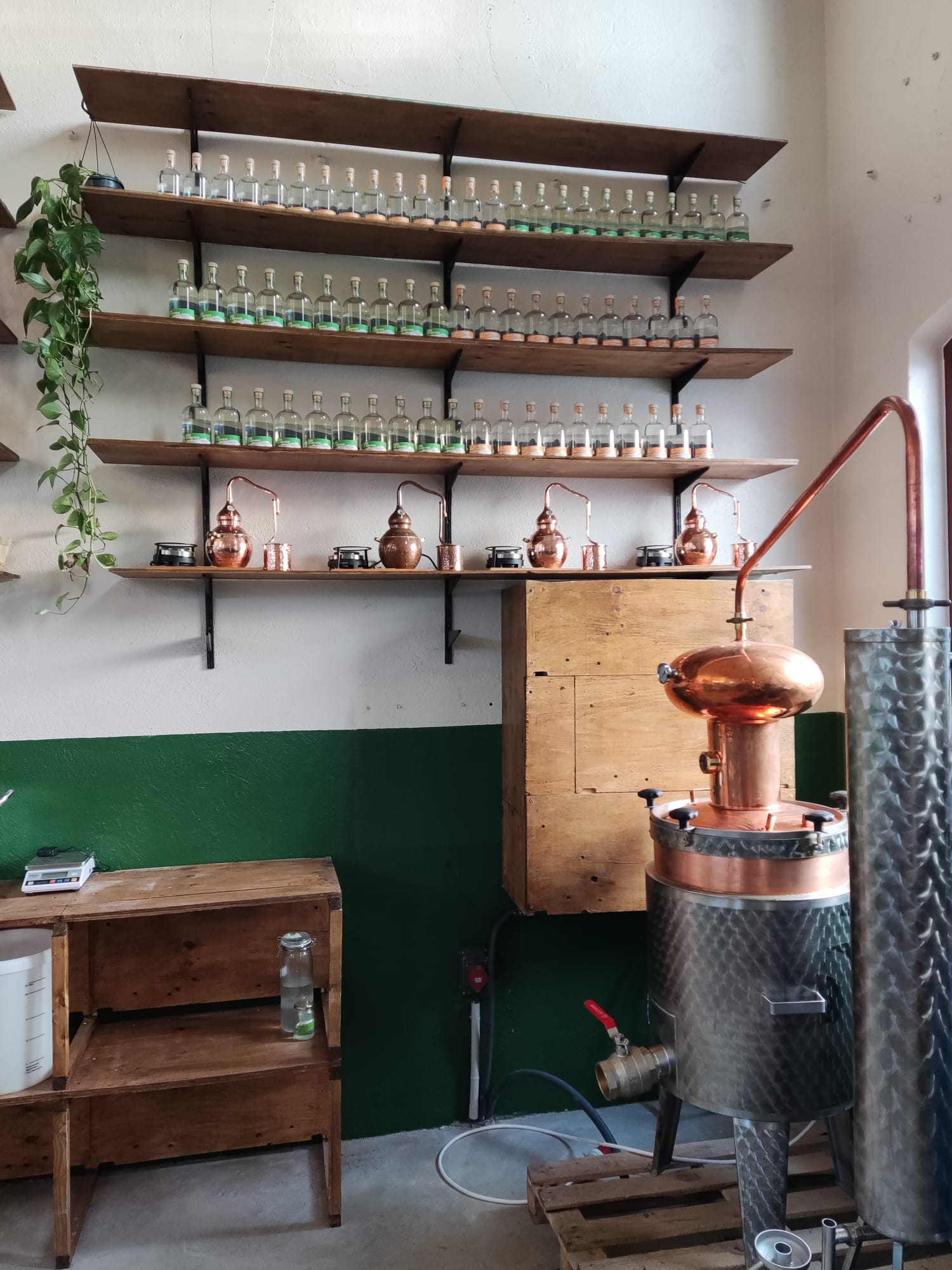 Les Pieds dans le Local® ! Visite d'une exploitation : distillerie du Bugey