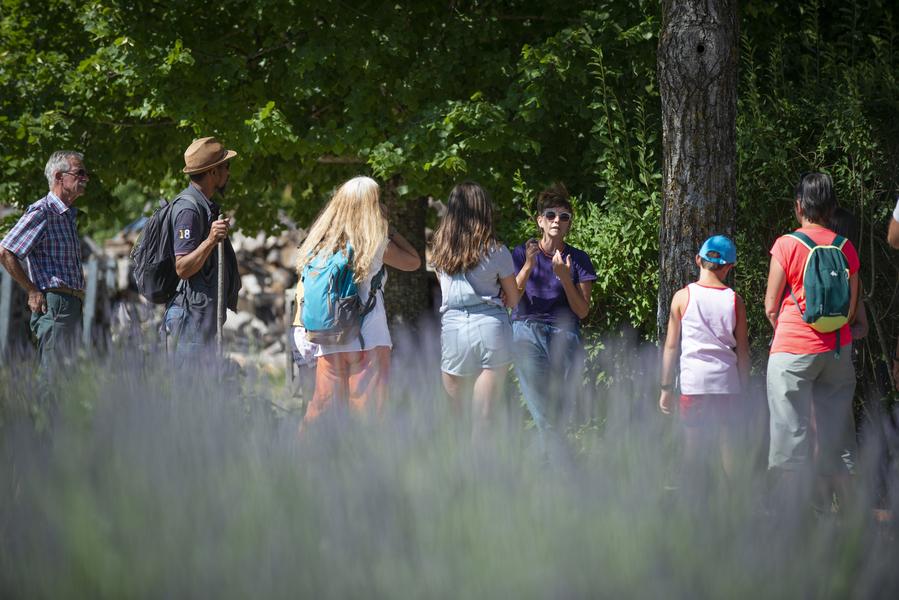 Visite aromathérapie