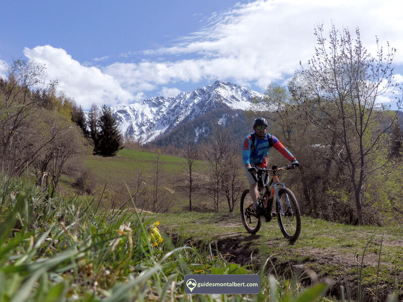VTT-E VTT-E