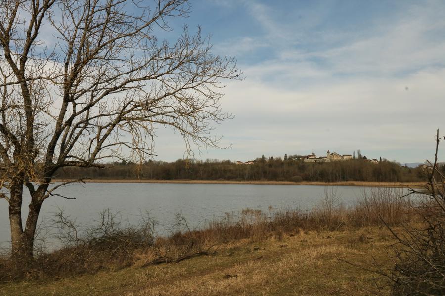 Étang de Salette_Courtenay