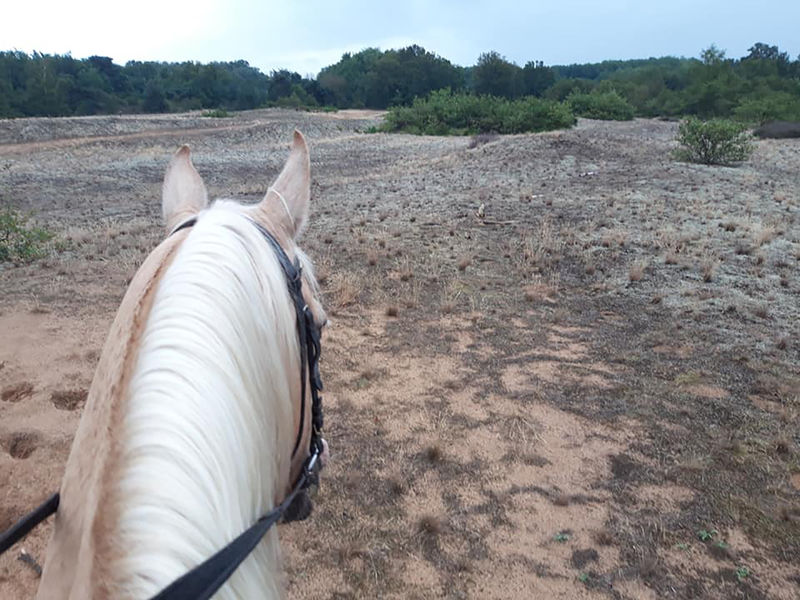 Circuit des Prairies du Val de Saône
