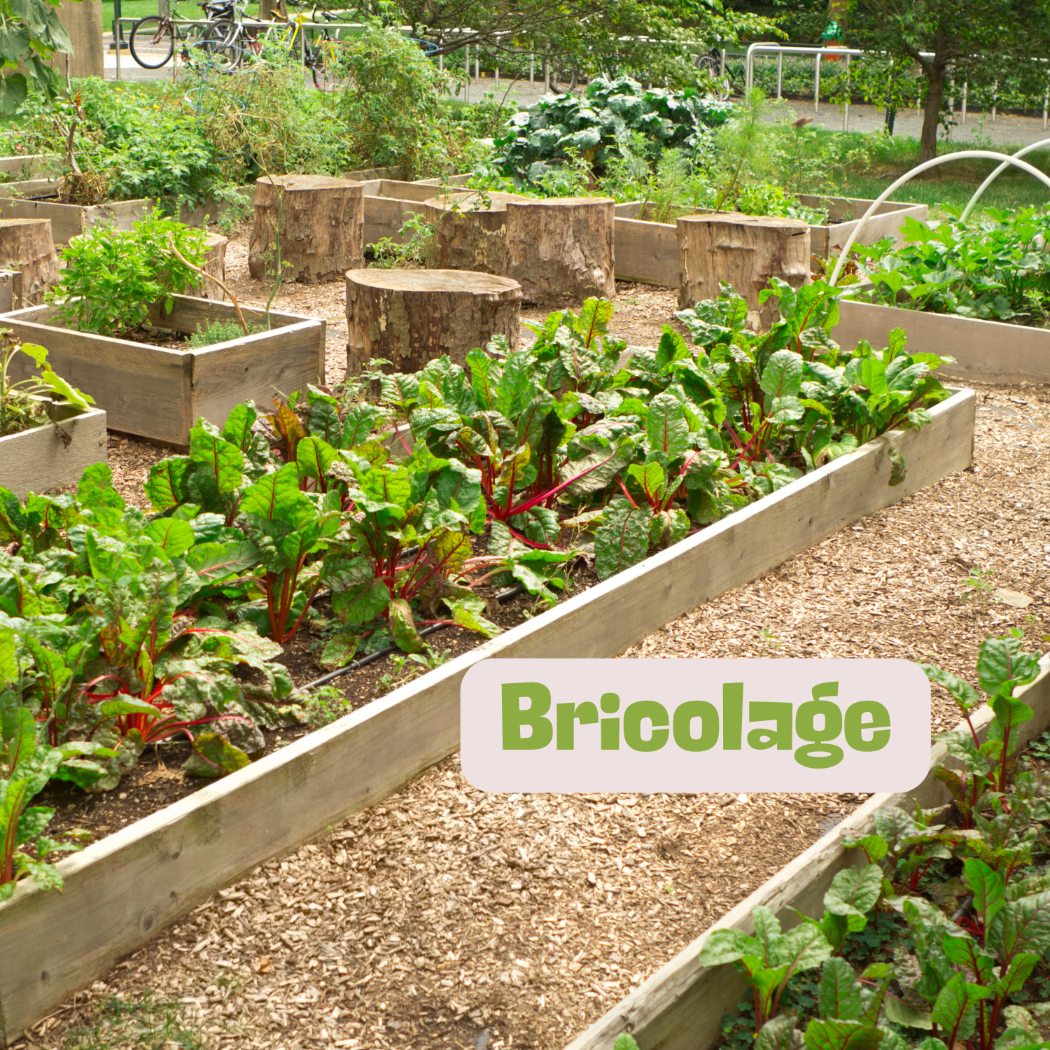 Atelier construction de bacs potagers