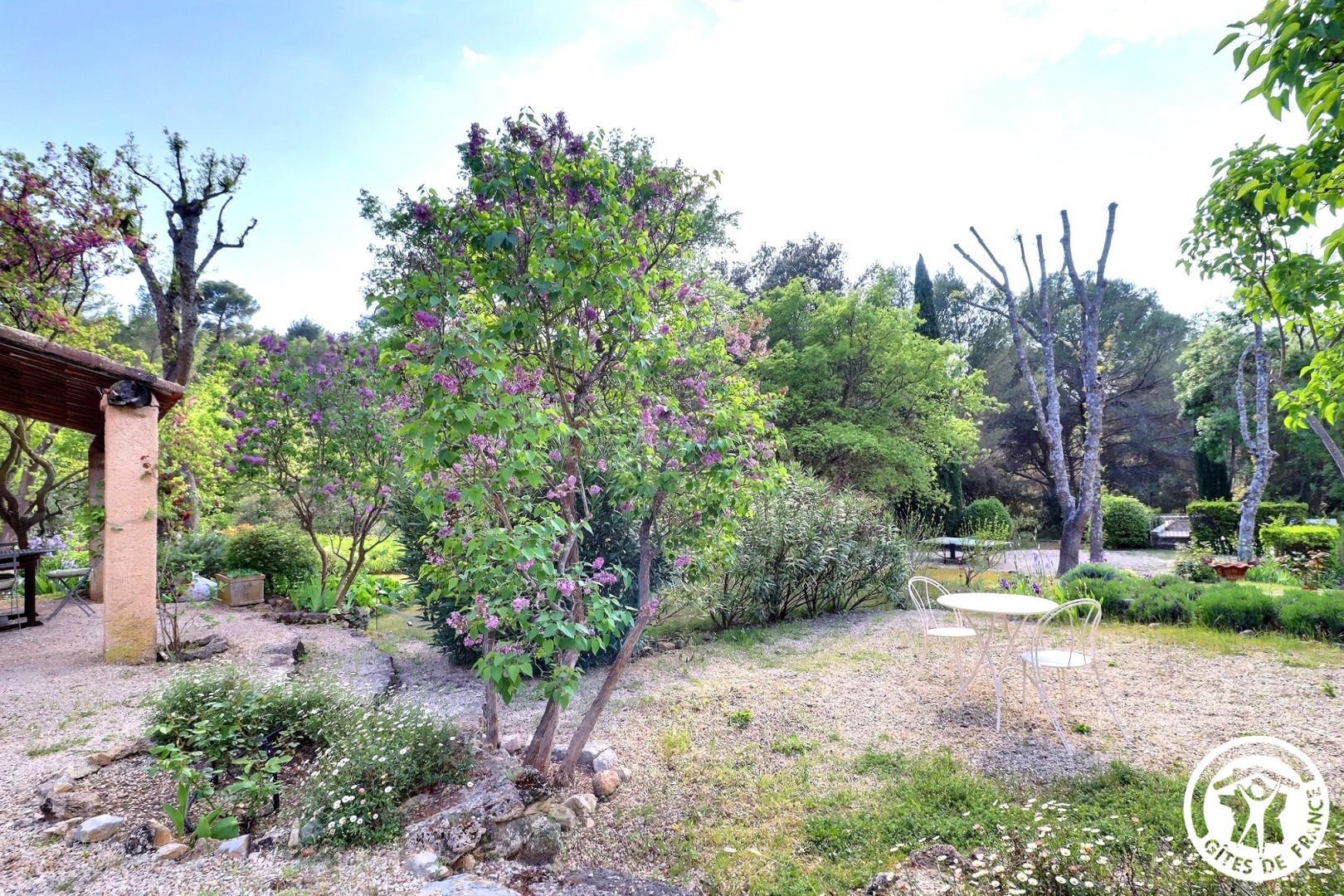 La Feuillère, Saint-Antonin-sur-Bayon - photo 38