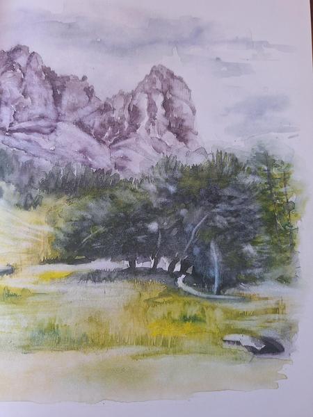 Stage d’aquarelle « Une autre vision du torrent »_La Salle-les-Alpes