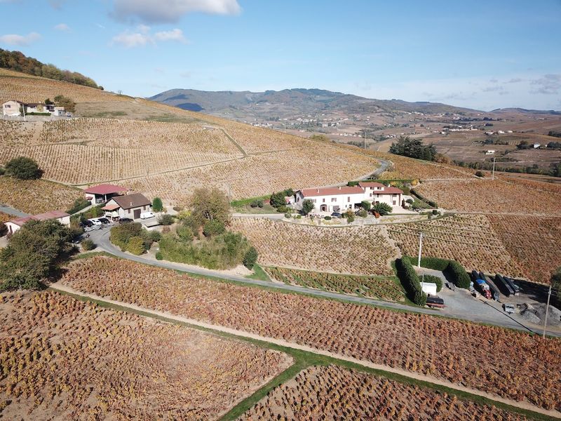 Domaine Patrick DUFOUR