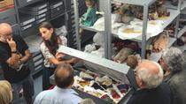 Visite des réserves de la collections de poupées
