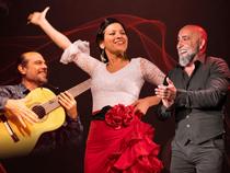 Flamenco - El Aire : Cie Julianna Ymira_Feurs