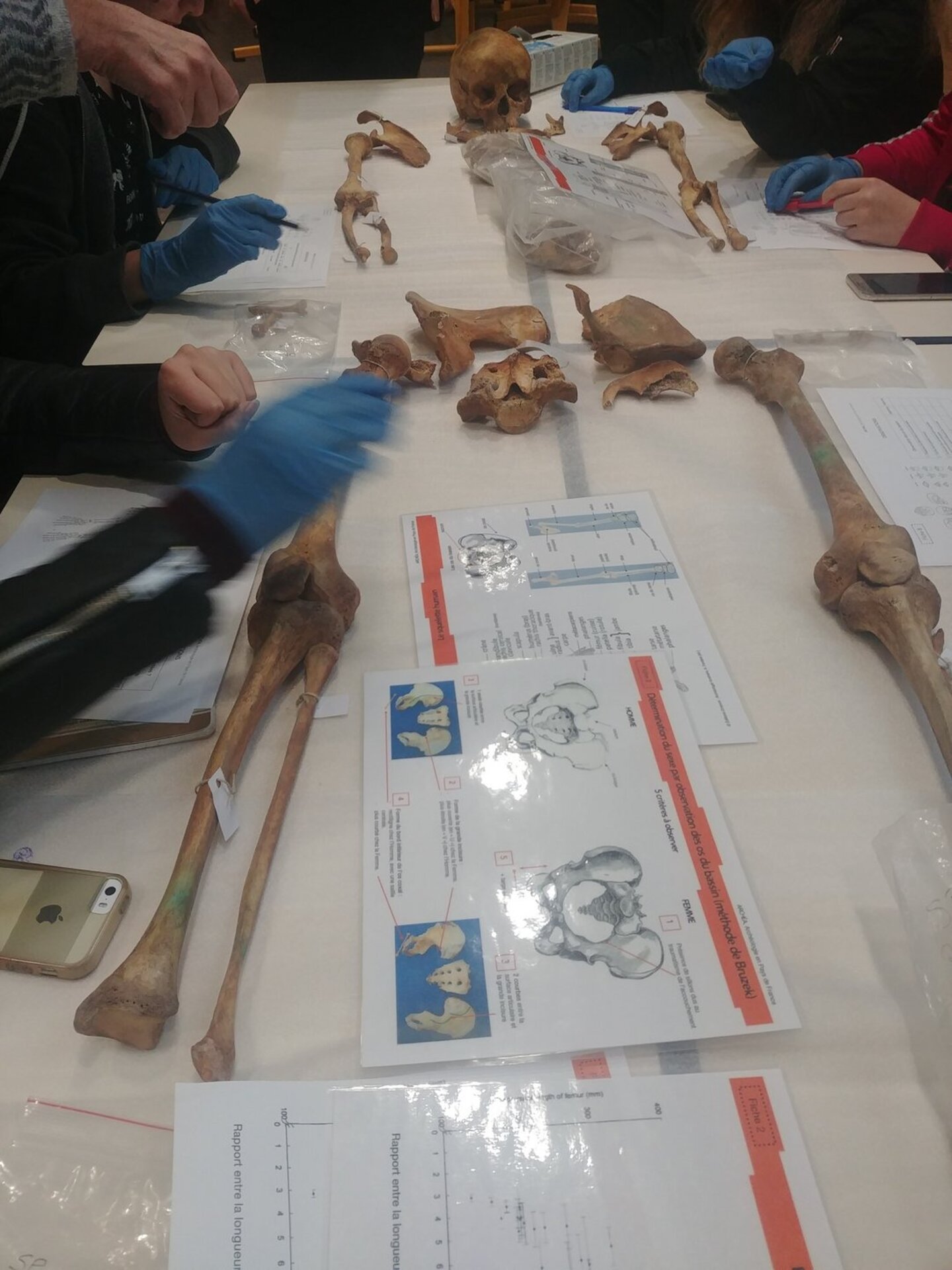 Atelier jeunes archéos : Enquête au musée