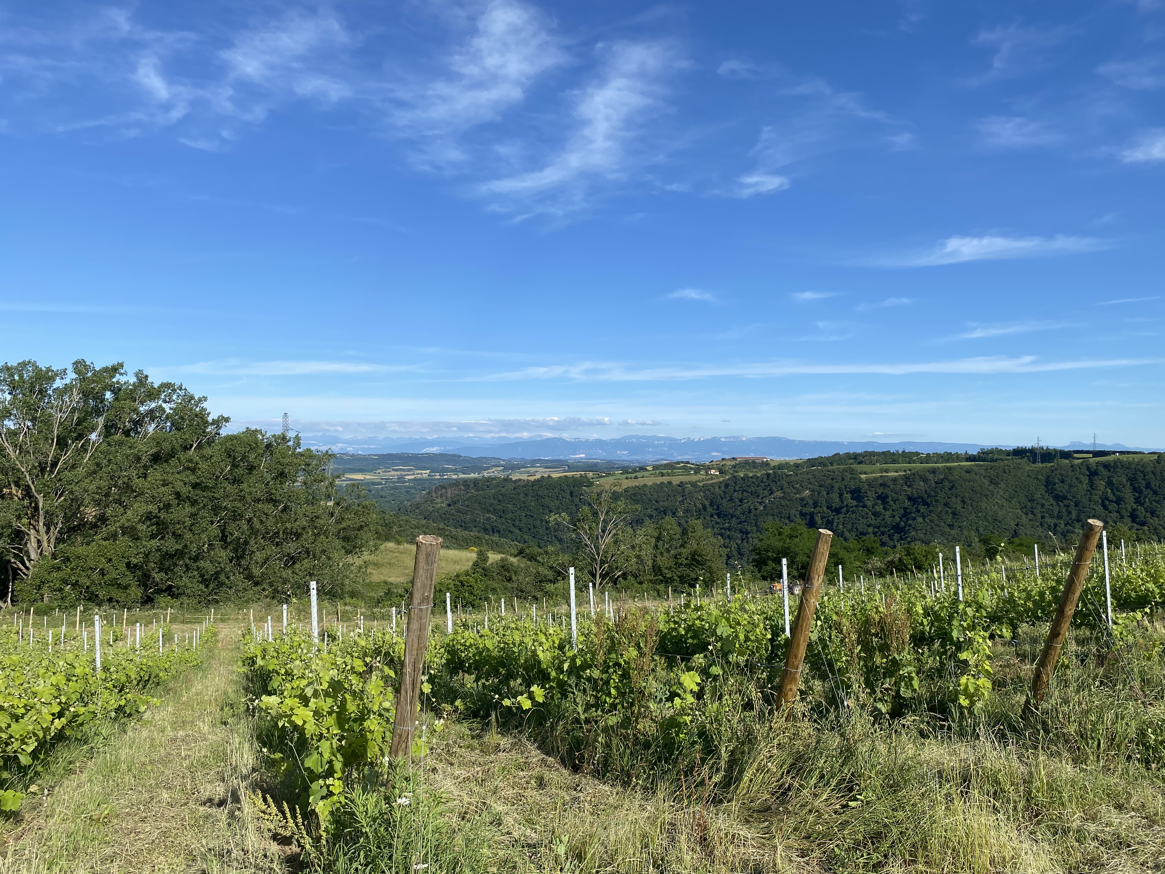 Rando Wine au domaine Peychon