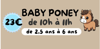 Séance - Baby poney
