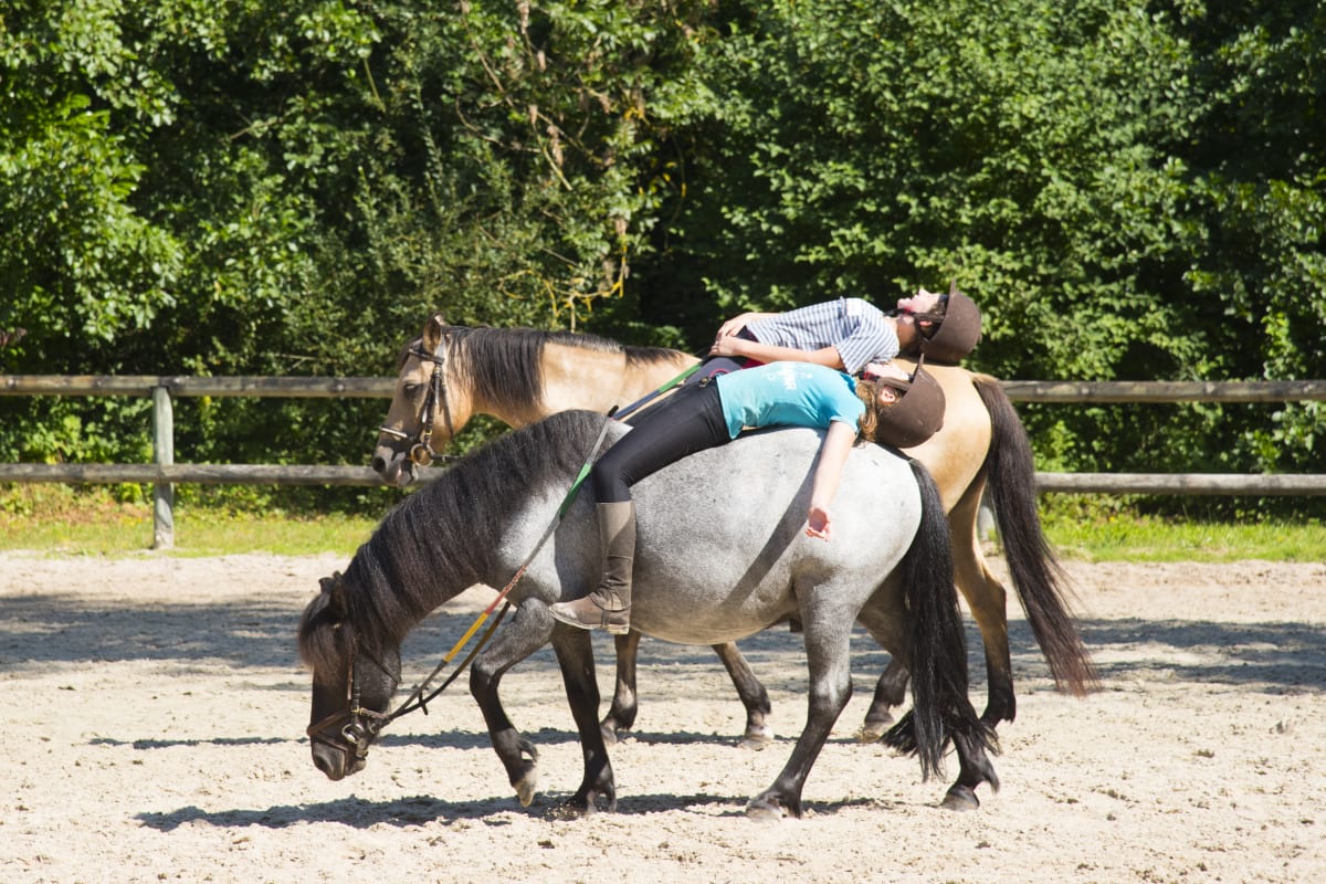 Poney-club