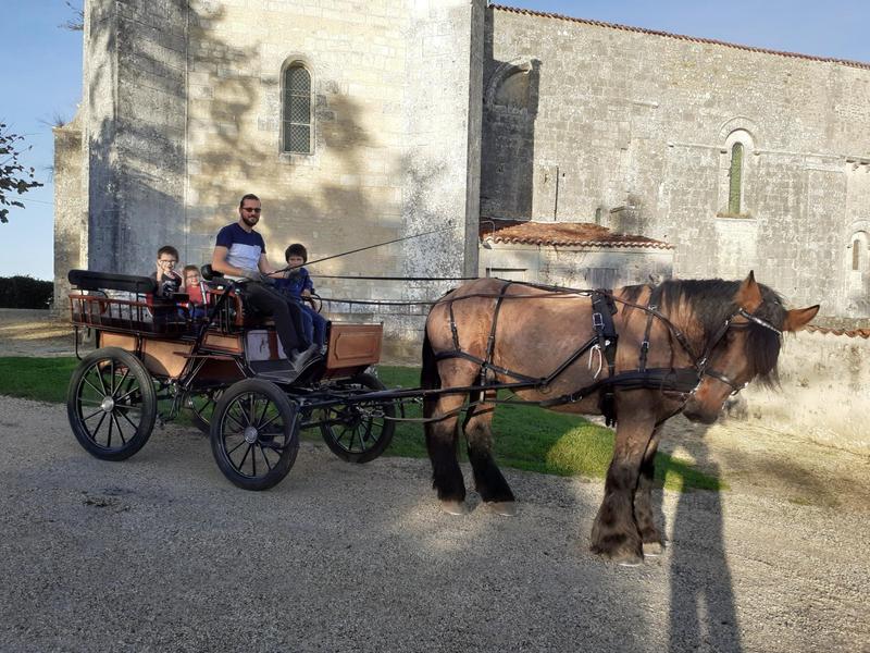 Balade en calèche