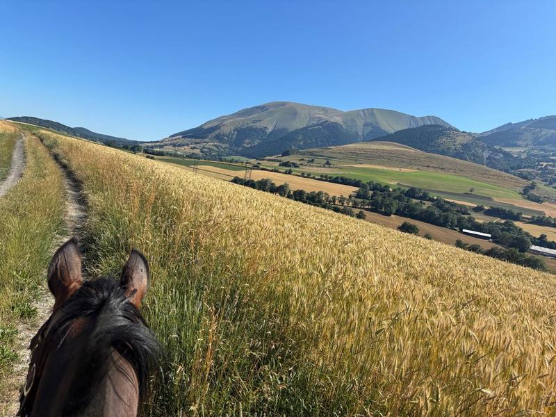 Chambres d'hôtes de la Ferme de Jonan_Saint-Honoré