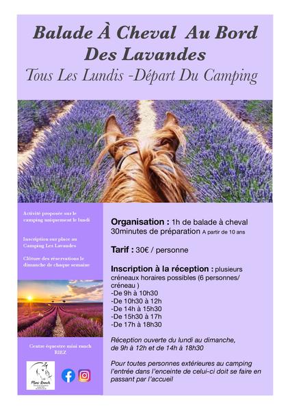 Balade à cheval au Camping Les Lavandes Valensole Du 6 mai au 2 sept 2024