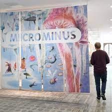 Microminus