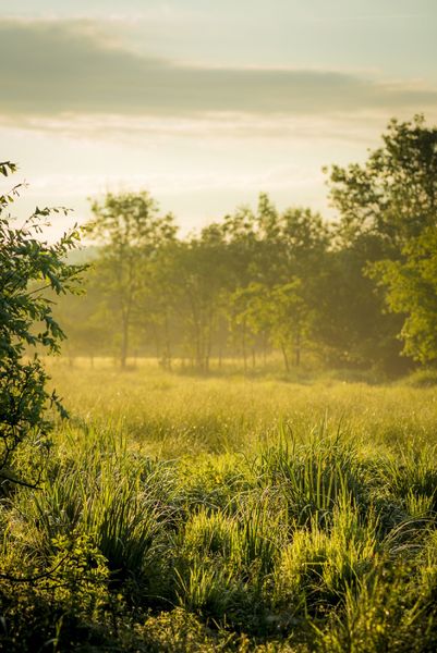 ENS Marais de la Besseye