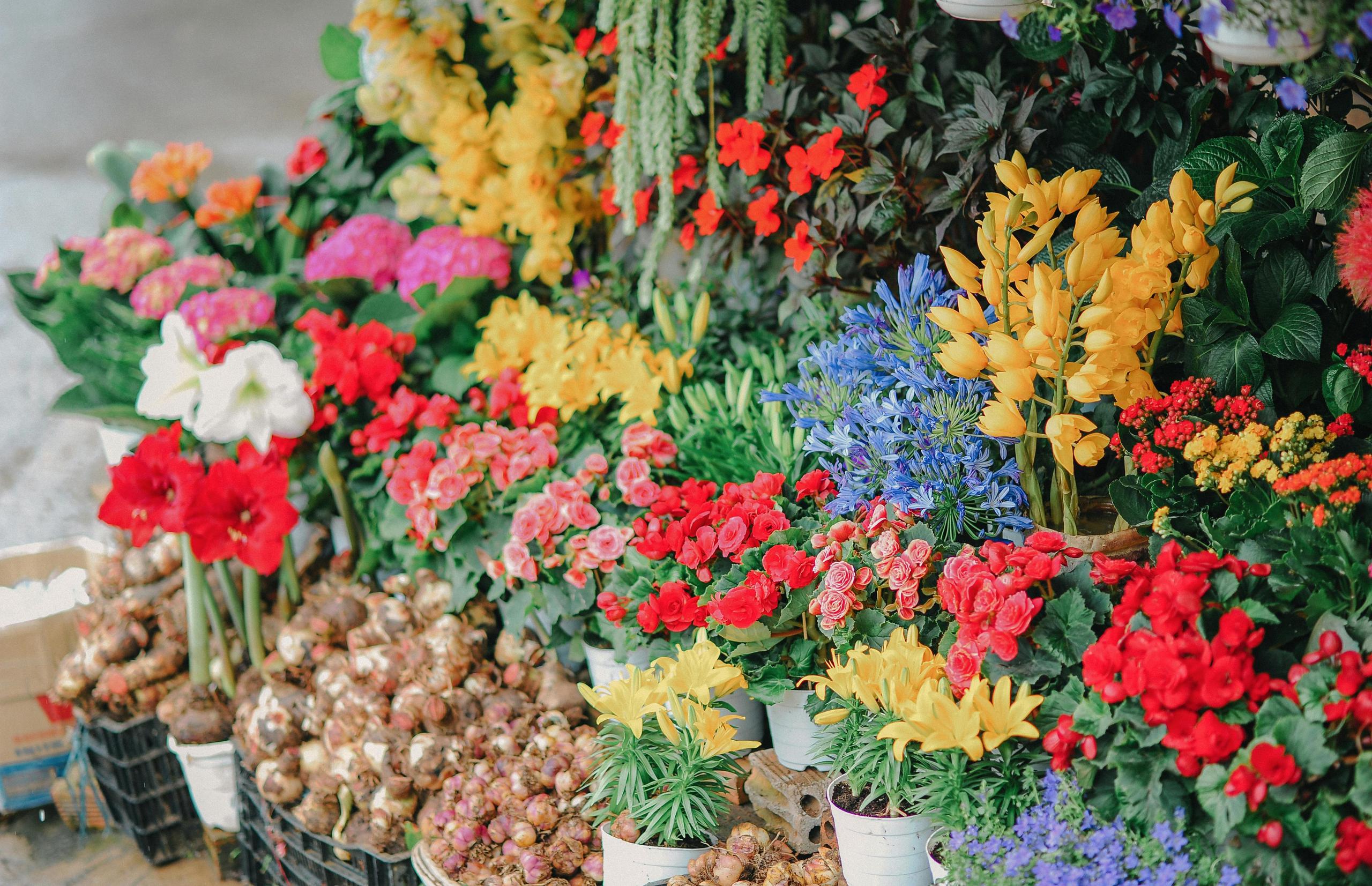 Vide grenier et marché floral de BELLON