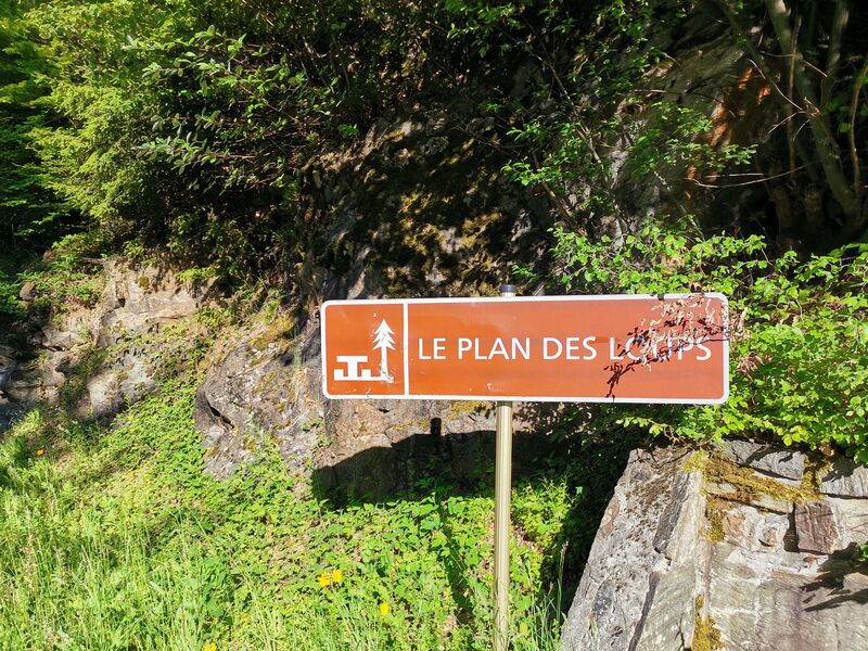 le-plan-des-loups