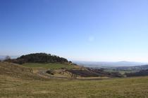 Montaubourg