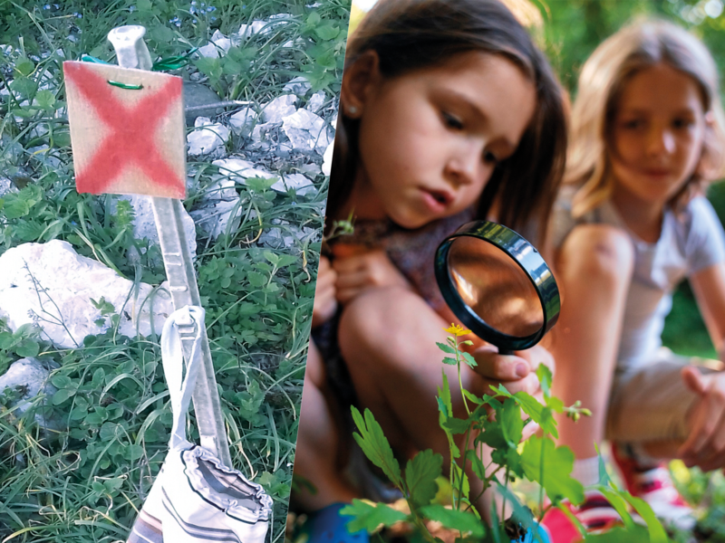 Au gré des balises, observez ce que la nature a à nous révéler