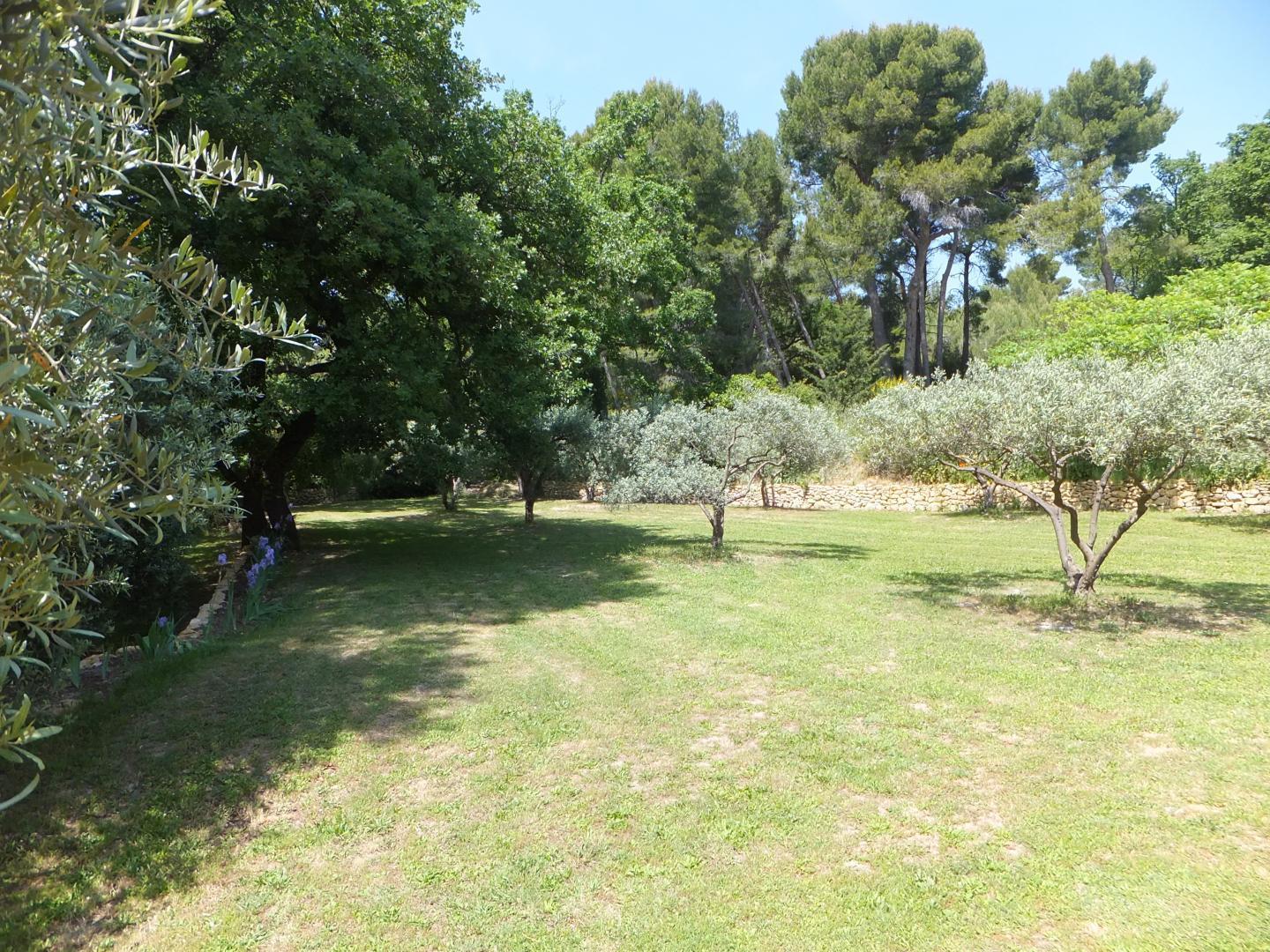 Le Clos Des Oliviers et la Tour, Saint-Cannat - photo 19