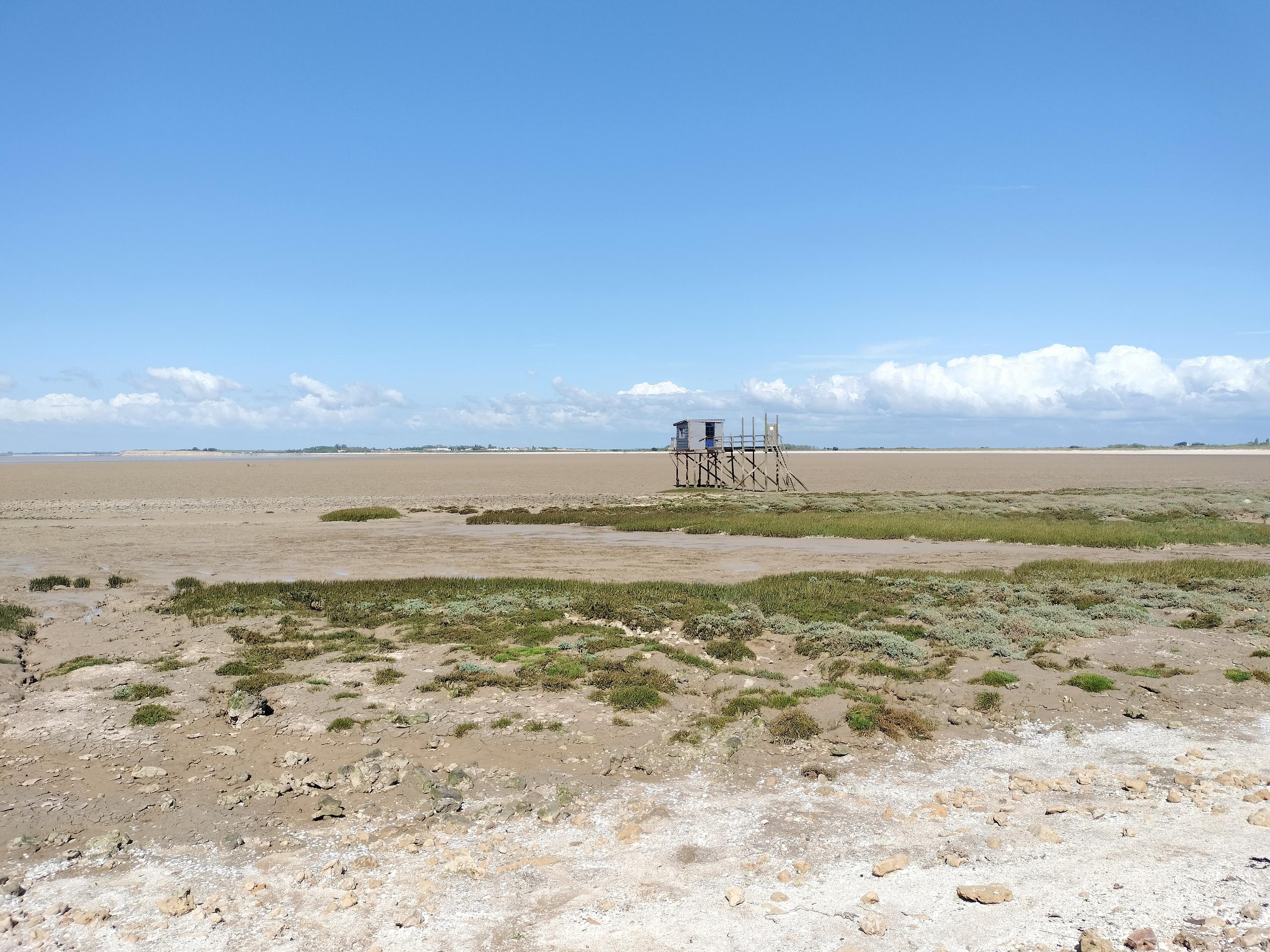 En chemin vers l'anse de Fouras