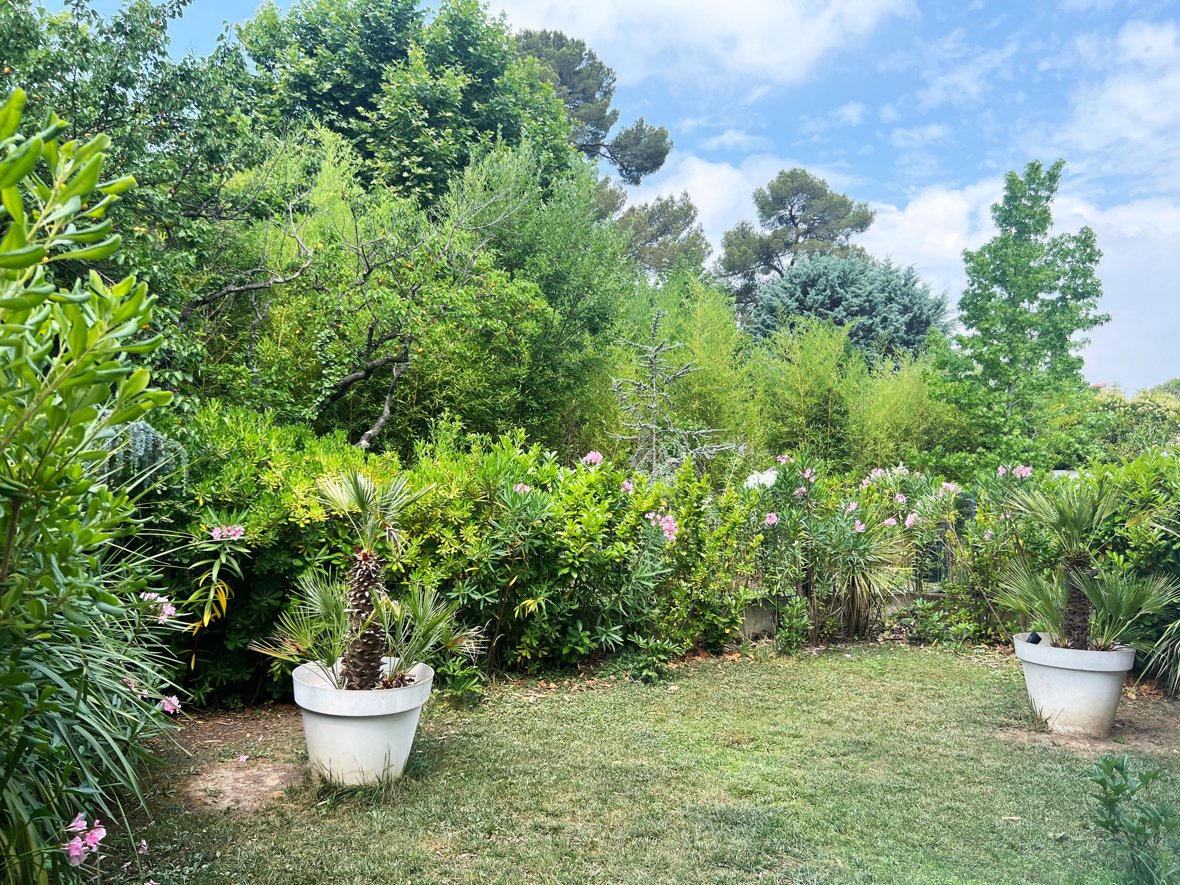 Aix the Place to Be - photo 3