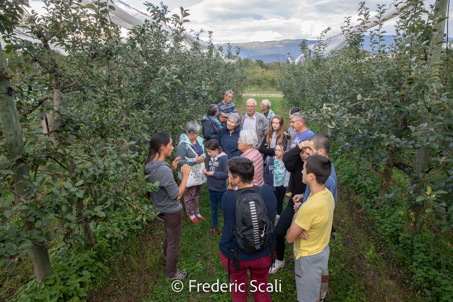 GAEC Guilland des Plantaz_Flaxieu