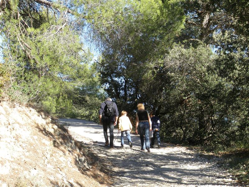 Jeu de piste dans les vignes et les oliviers !_Nyons