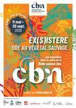 Exposition - Ex(s)istere, une ode au Végétal sauvage_Saint-Étienne