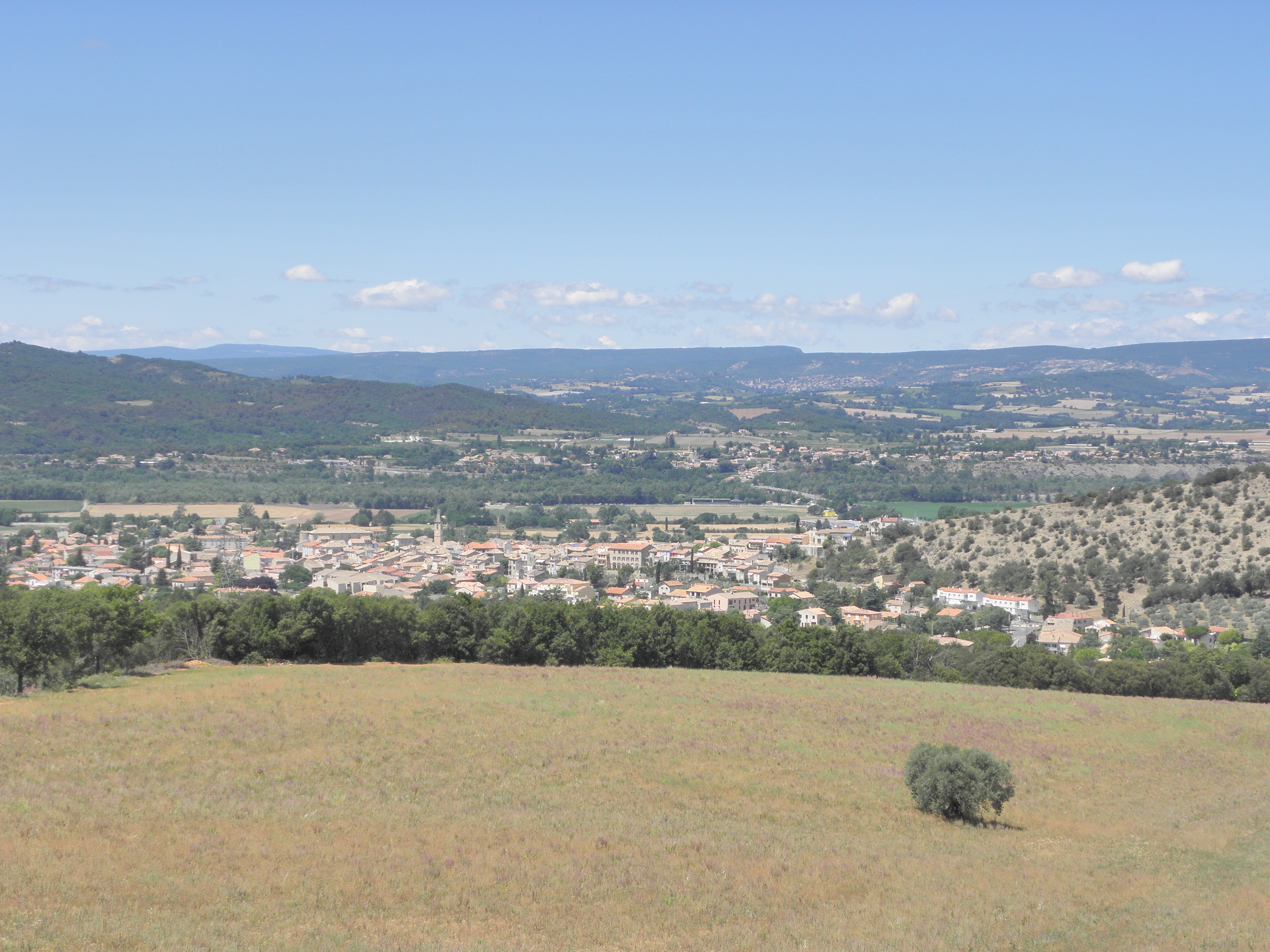Vue