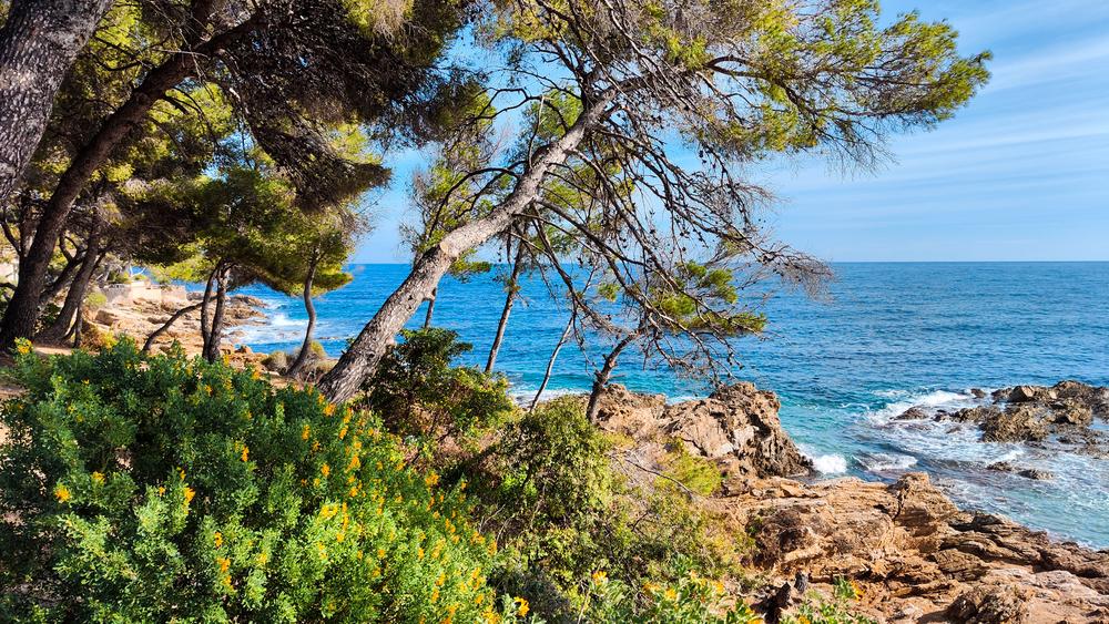 sentier du littoral aux Issambres