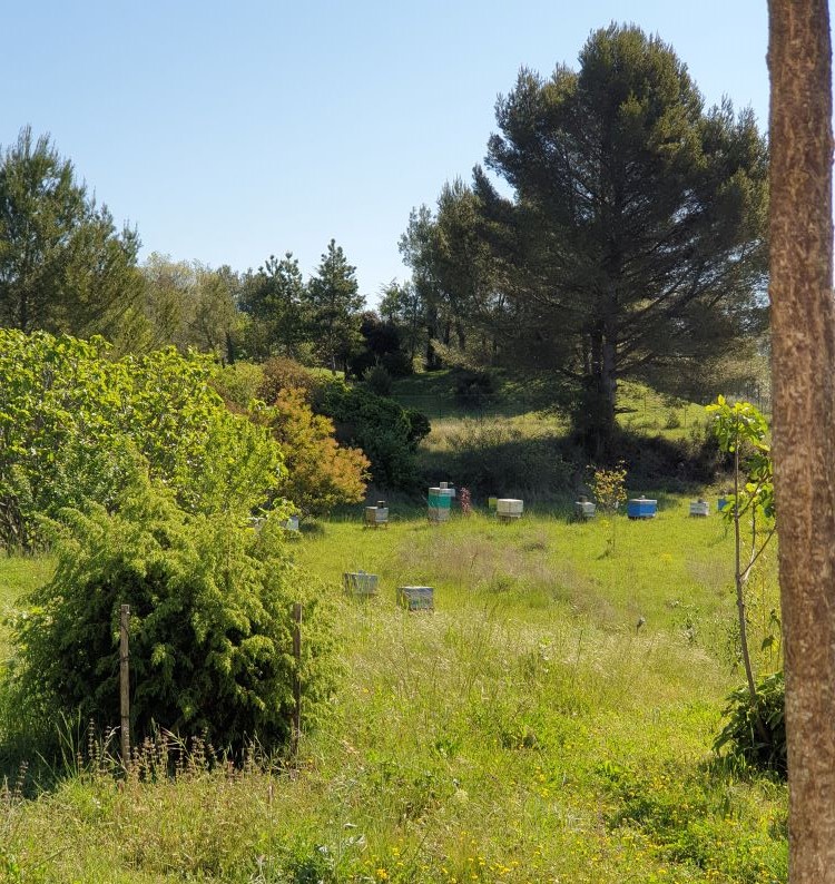 Les Abeilles de la Lisette