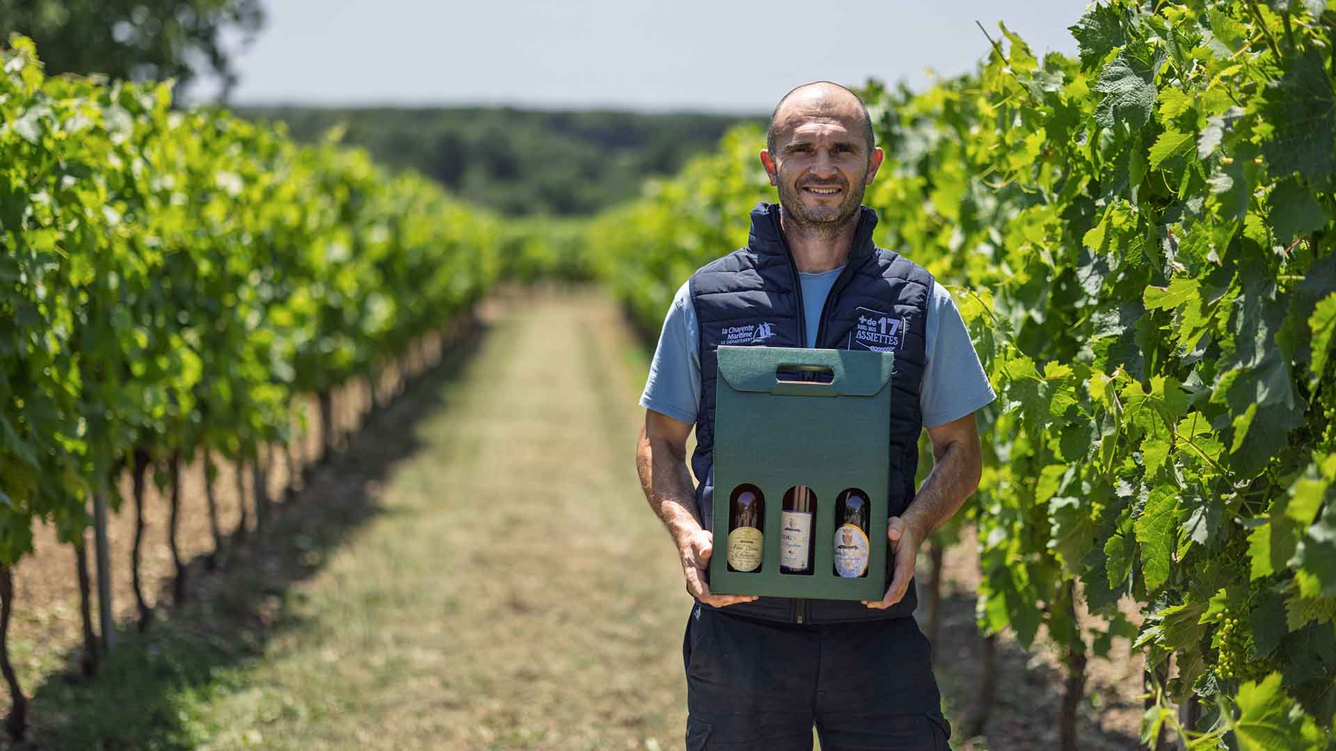 Les Trois C - Vignoble