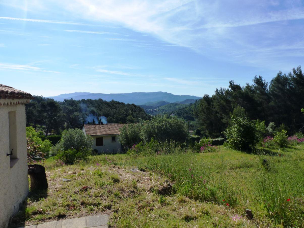 Pivoine, Cadolive - photo 5