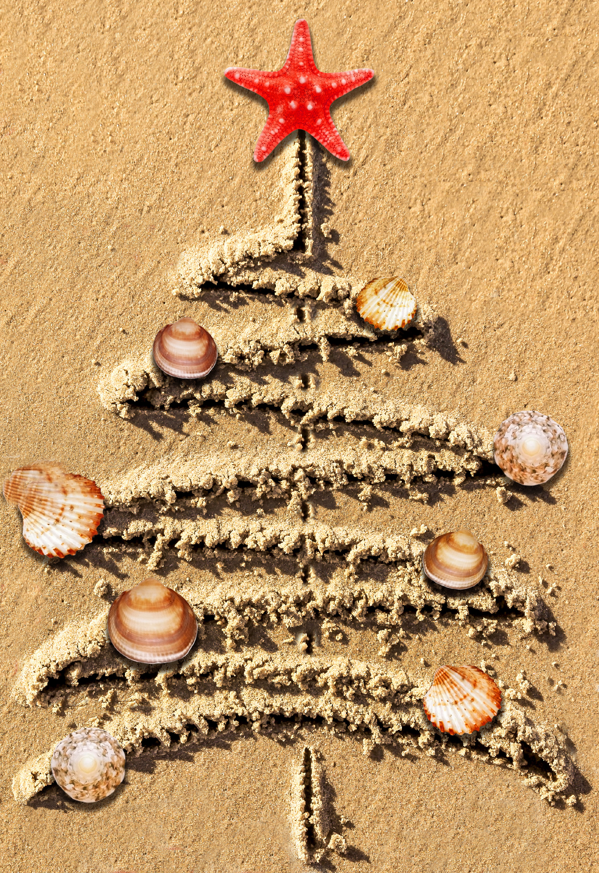 Contes de Noël en musique