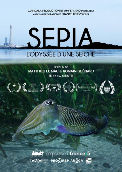 Affiche du film Sépia, l'odyssée d'une seiche
