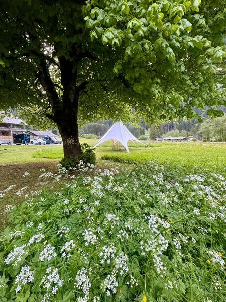 La Chotte du Musher_Champéry